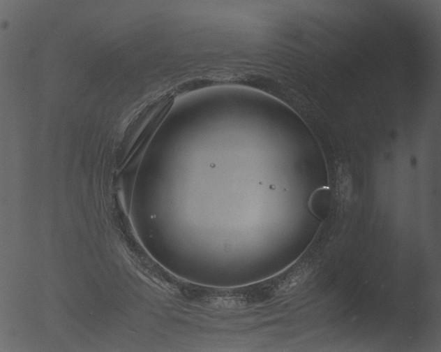 X0000053070303200507181633