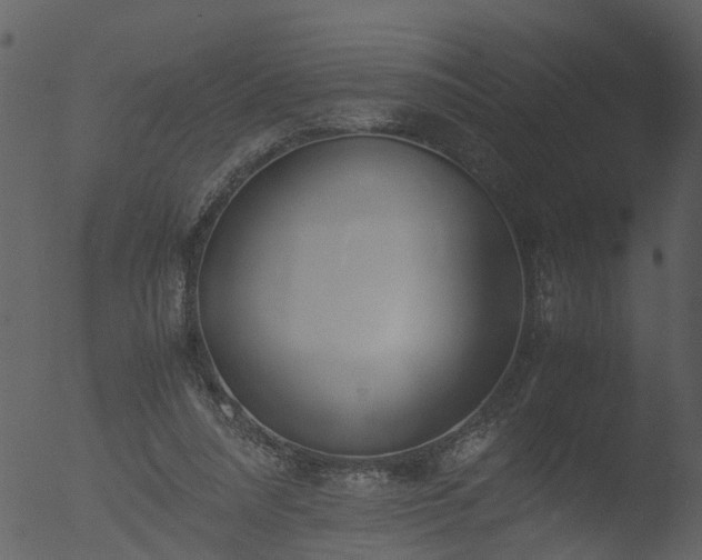 X0000053070304200507181633