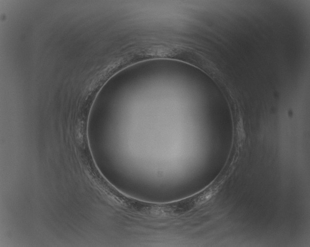 X0000053070305200507181633