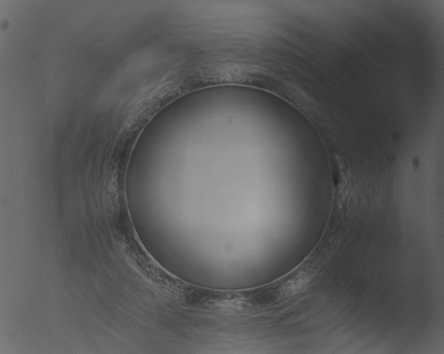 X0000053070306200507181633