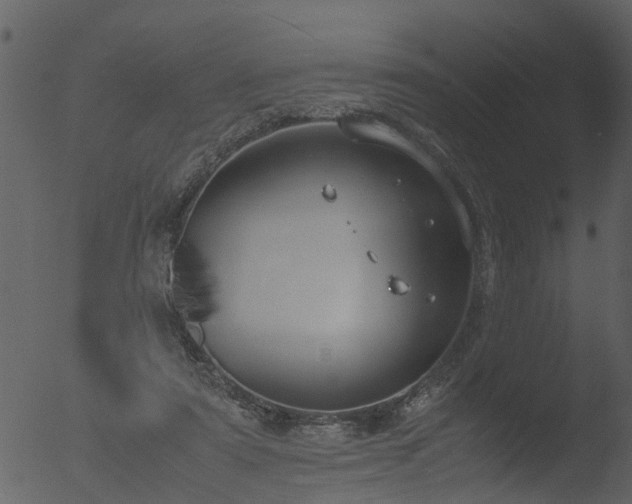 X0000053070307200507181633