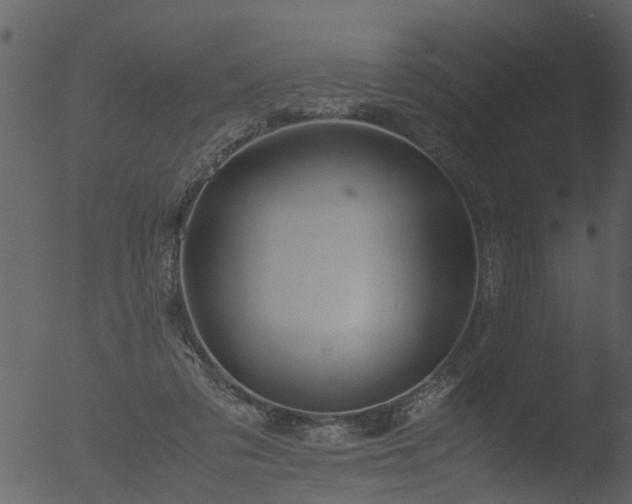 X0000053070309200507181633