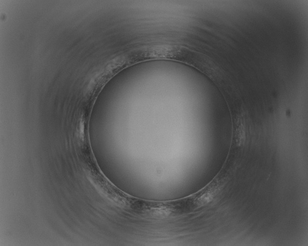 X0000053070310200507181633