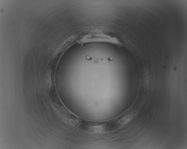 X0000053070312200507181633