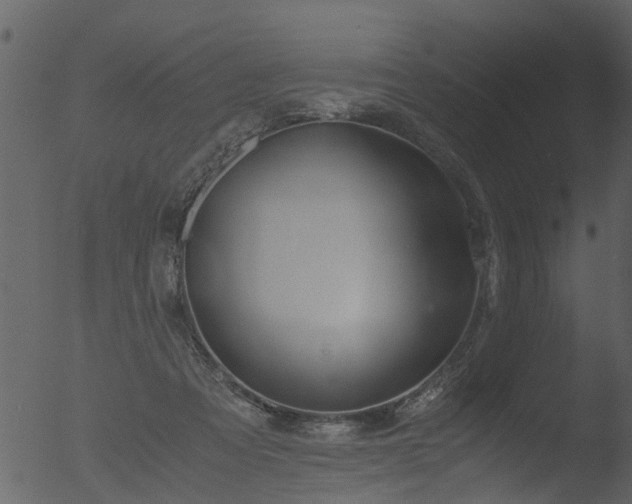 X0000053070313200507181633