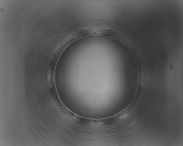 X0000053070314200507181633