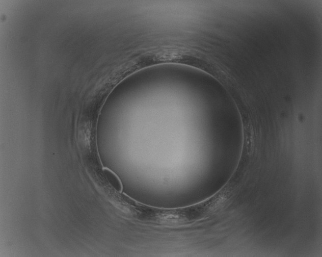 X0000053070315200507181633