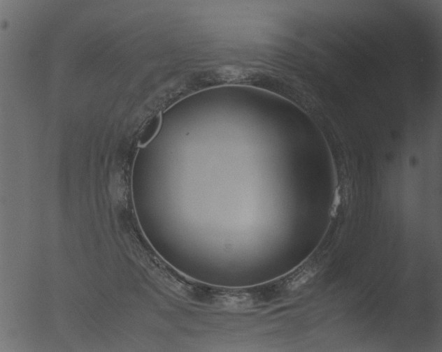 X0000053070317200507181633