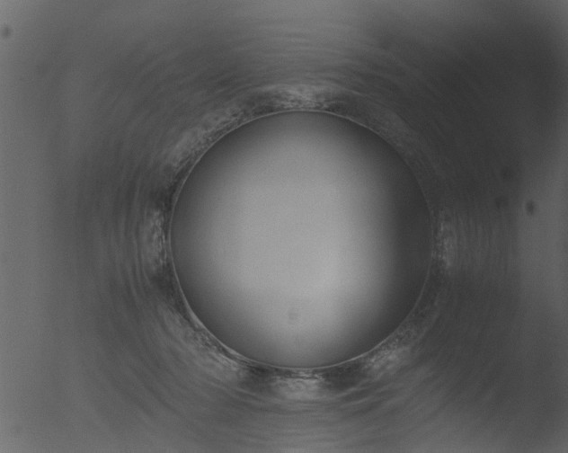 X0000053070318200507181633