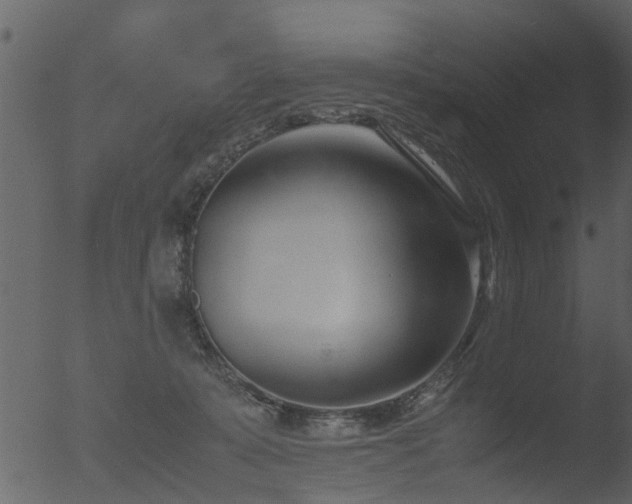 X0000053070319200507181633