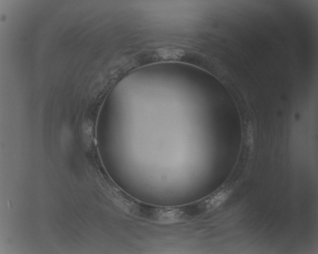 X0000053070321200507181633