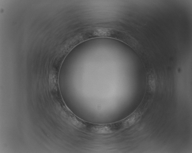 X0000053070322200507181633