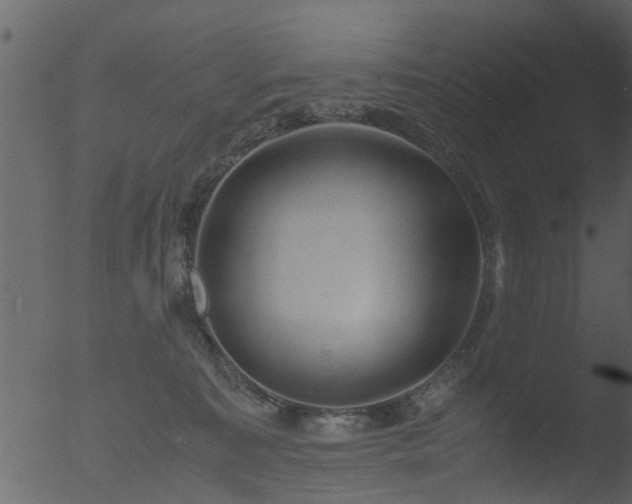 X0000053070323200507181633