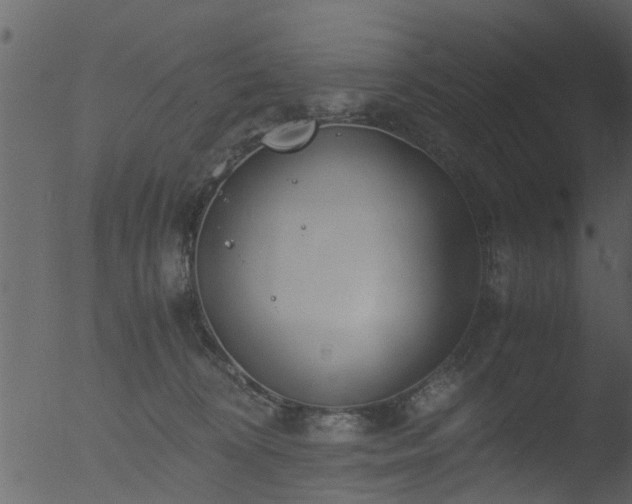 X0000053070324200507181633