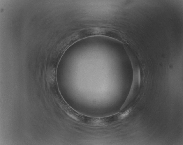 X0000053070325200507181633