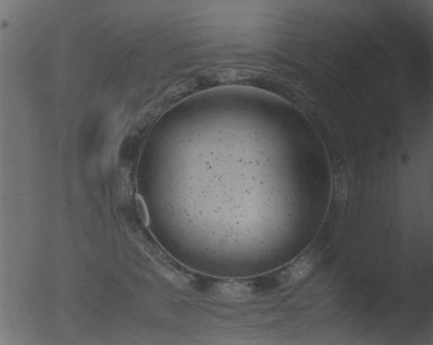 X0000053070327200507181633