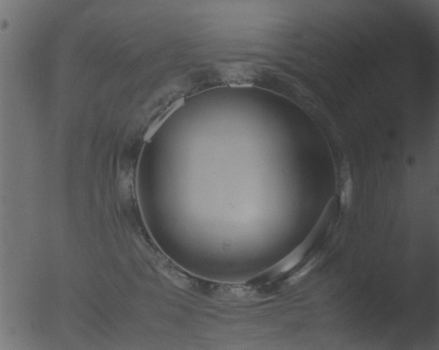 X0000053070329200507181633