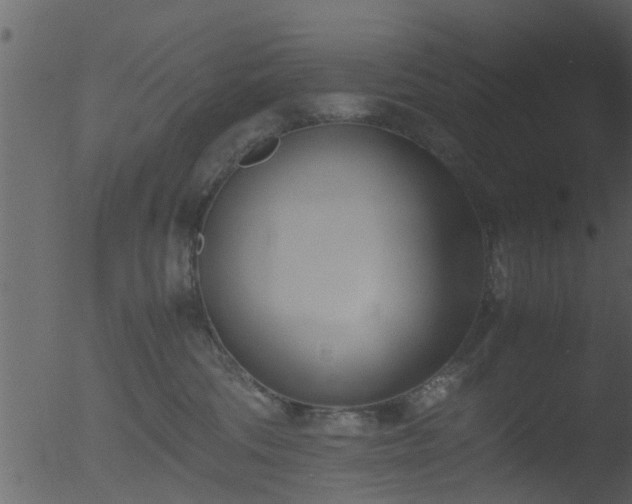 X0000053070330200507181633