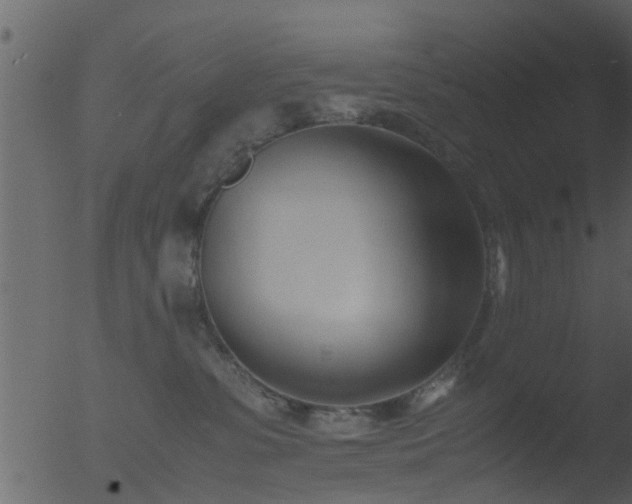 X0000053070331200507181633