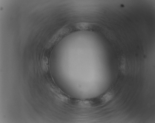 X0000053070332200507181633