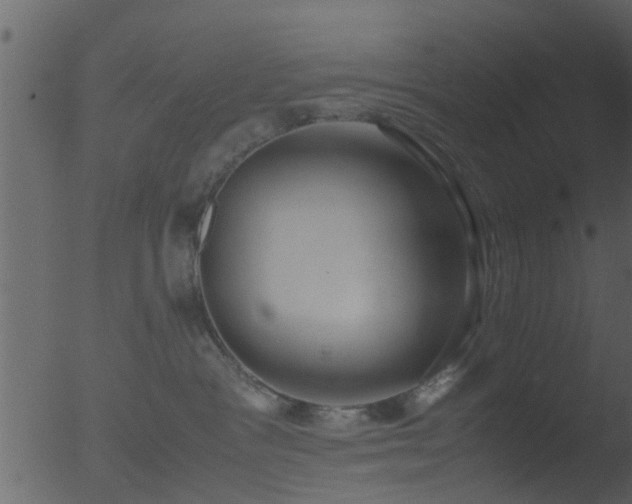 X0000053070333200507181632