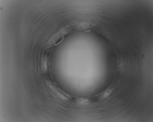 X0000053070334200507181632