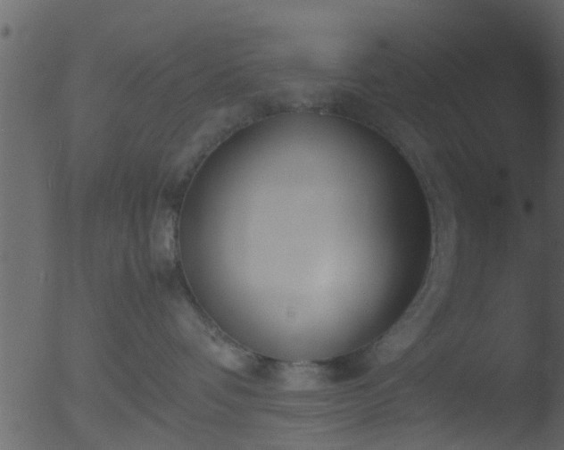 X0000053070336200507181632