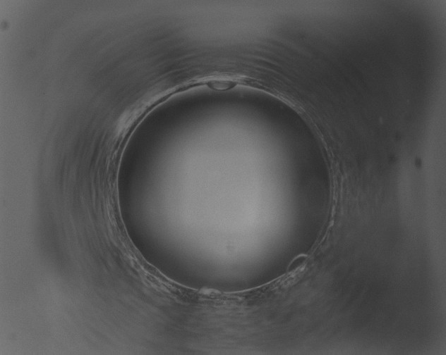 X0000053070337200507181632