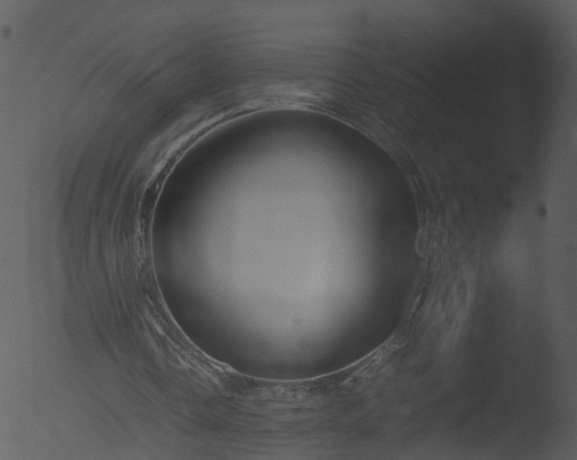 X0000053070338200507181632