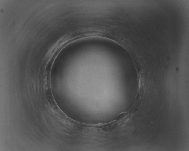 X0000053070339200507181632