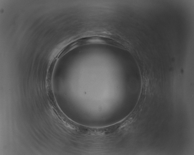 X0000053070340200507181632