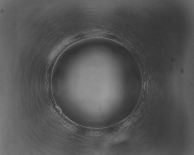 X0000053070341200507181632