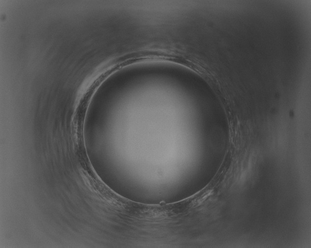 X0000053070343200507181632