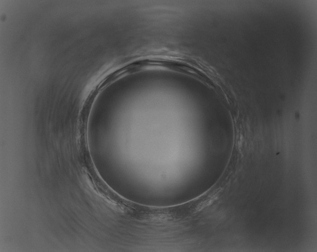 X0000053070344200507181632