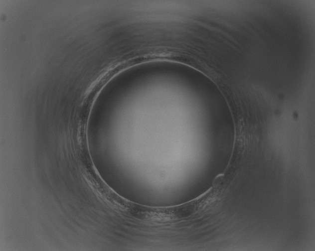 X0000053070347200507181632