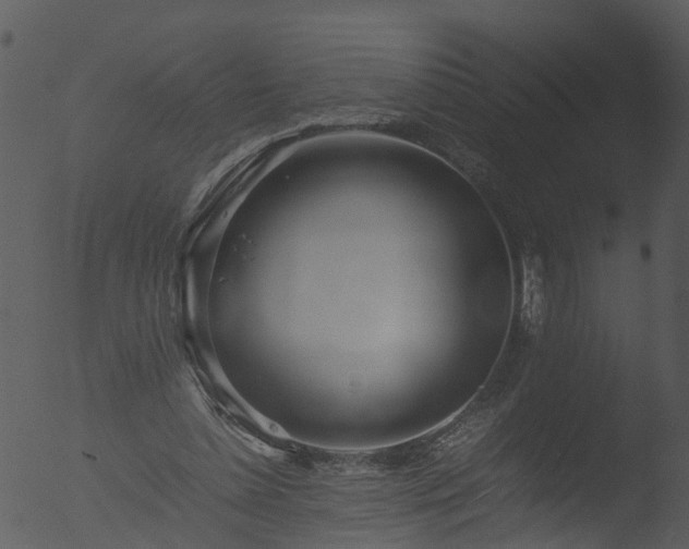 X0000053070348200507181632