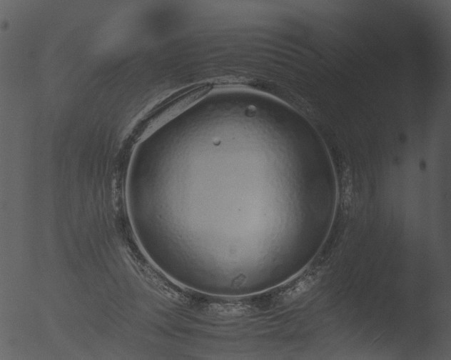 X0000053070351200507181632