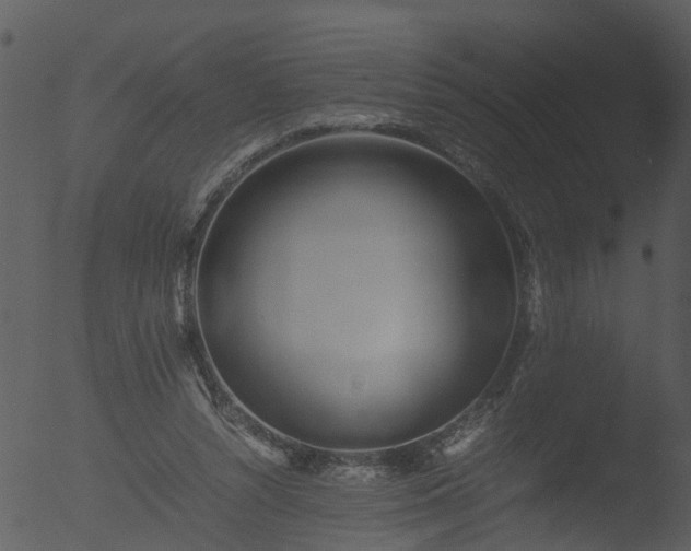 X0000053070352200507181632