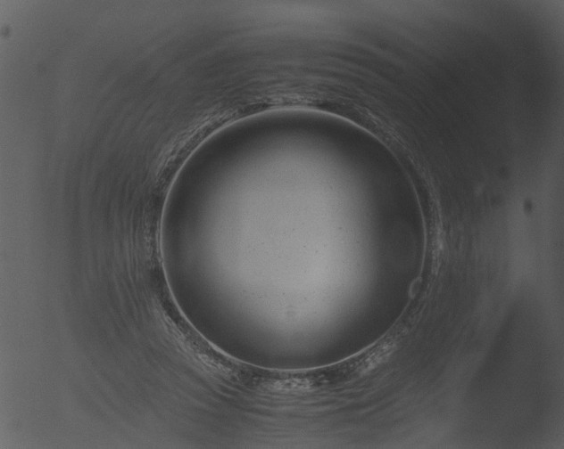 X0000053070353200507181632