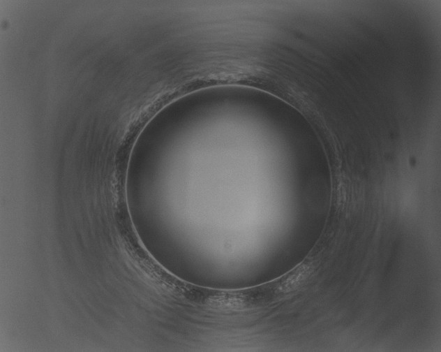 X0000053070354200507181632