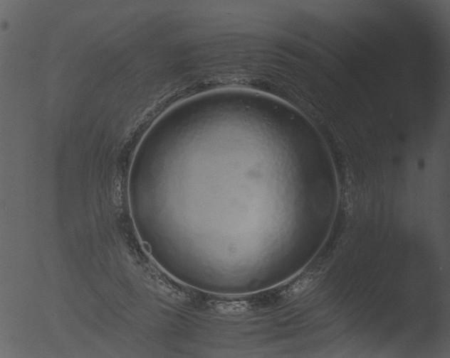 X0000053070355200507181632