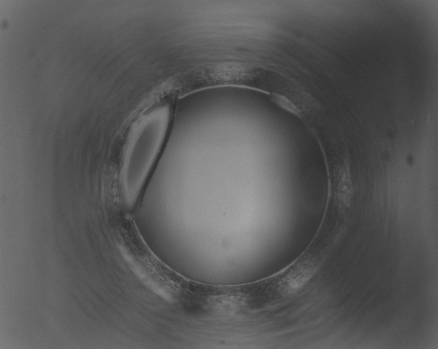 X0000053070356200507181632