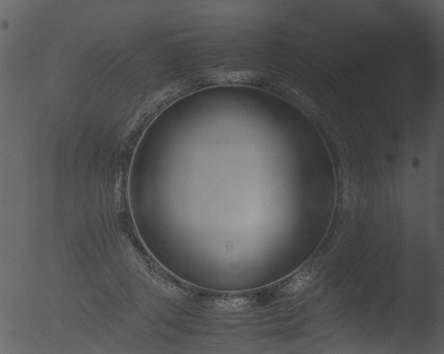 X0000053070357200507181632