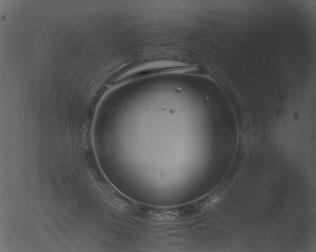 X0000053070359200507181632