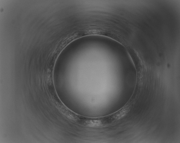 X0000053070361200507181632