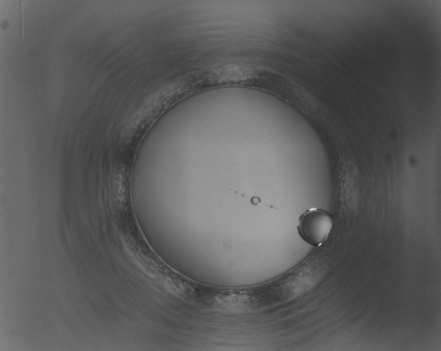 X0000053070362200507181632