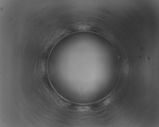 X0000053070363200507181632