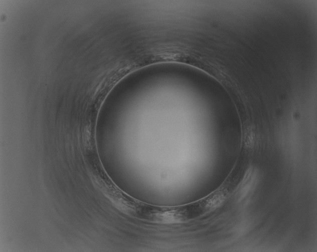 X0000053070365200507181632