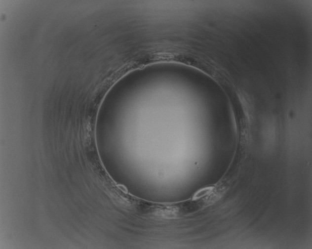 X0000053070369200507181632