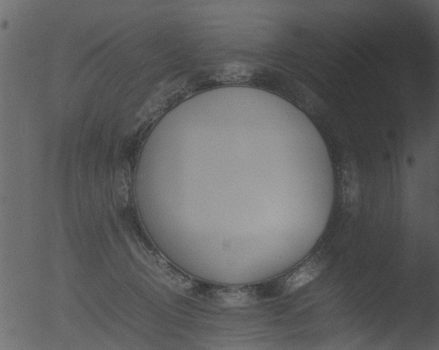 X0000053070370200507181632